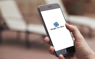 无修改 男性婚介服务公司logo设计 ToneDesign作品 时间财富网