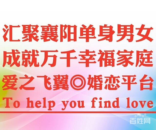 【图】- 爱之飞翼◎襄阳婚恋 - 襄阳婚介服务 -