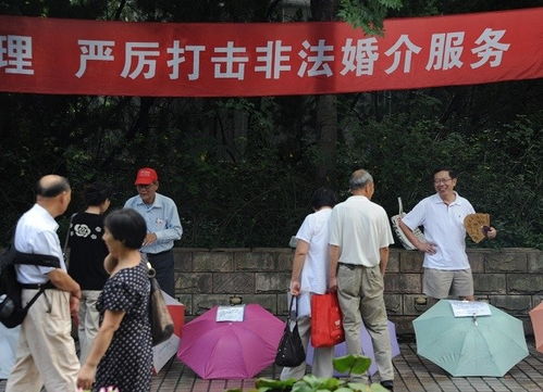 悲催 交6万元找婚介,沪上高校女教授险成 第三者