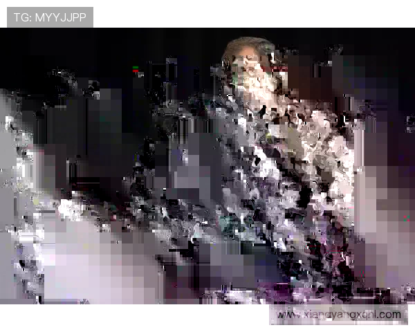 西班牙体育理事会研究否决海外计划