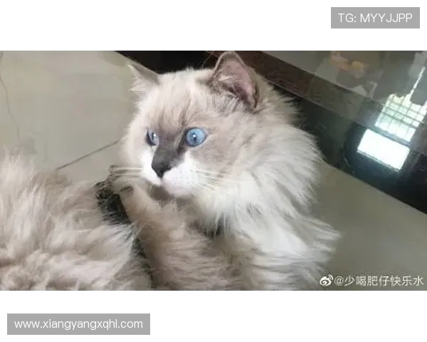 科斯蒂奇坦言经历艰难时光感激队友支持助他重新找回信心 科斯蒂奇坦言经历艰难时光感激队友支持助他重新找回信心